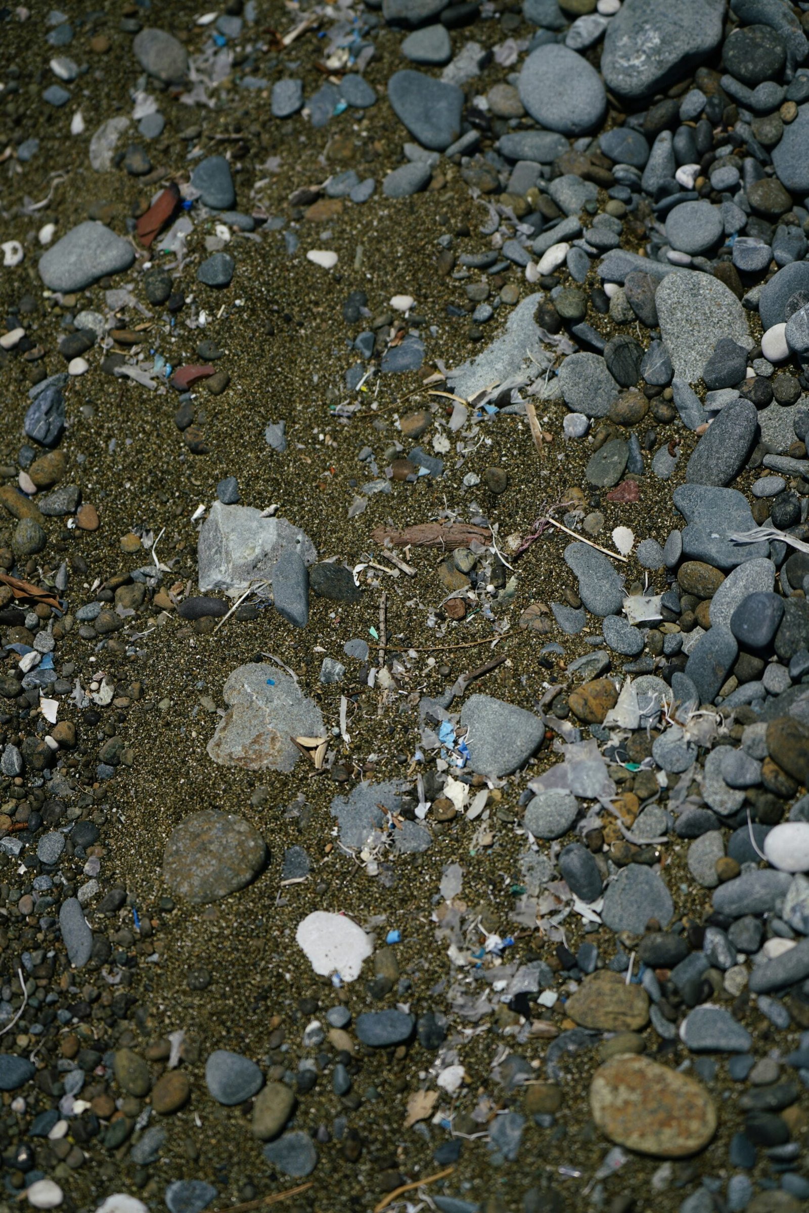 a close-up of a rocky area
